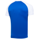 Футболка игровая CAMP Reglan Jersey JFT-1021-071, синий/белый